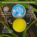HEAL - Anti-Septic Balm for Cuts, Scrapes & Blisters (13 grams)