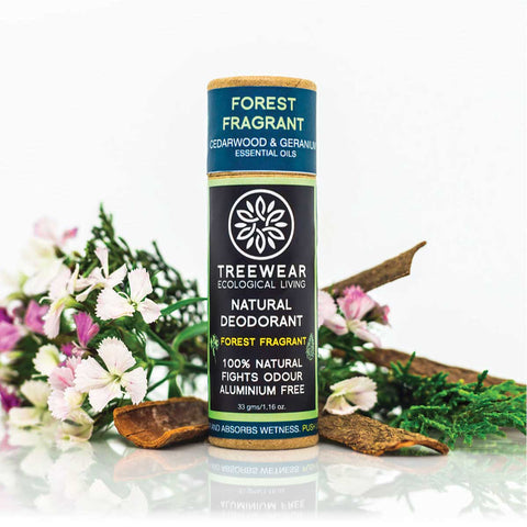 Festive Freshness Kit - Gift Set